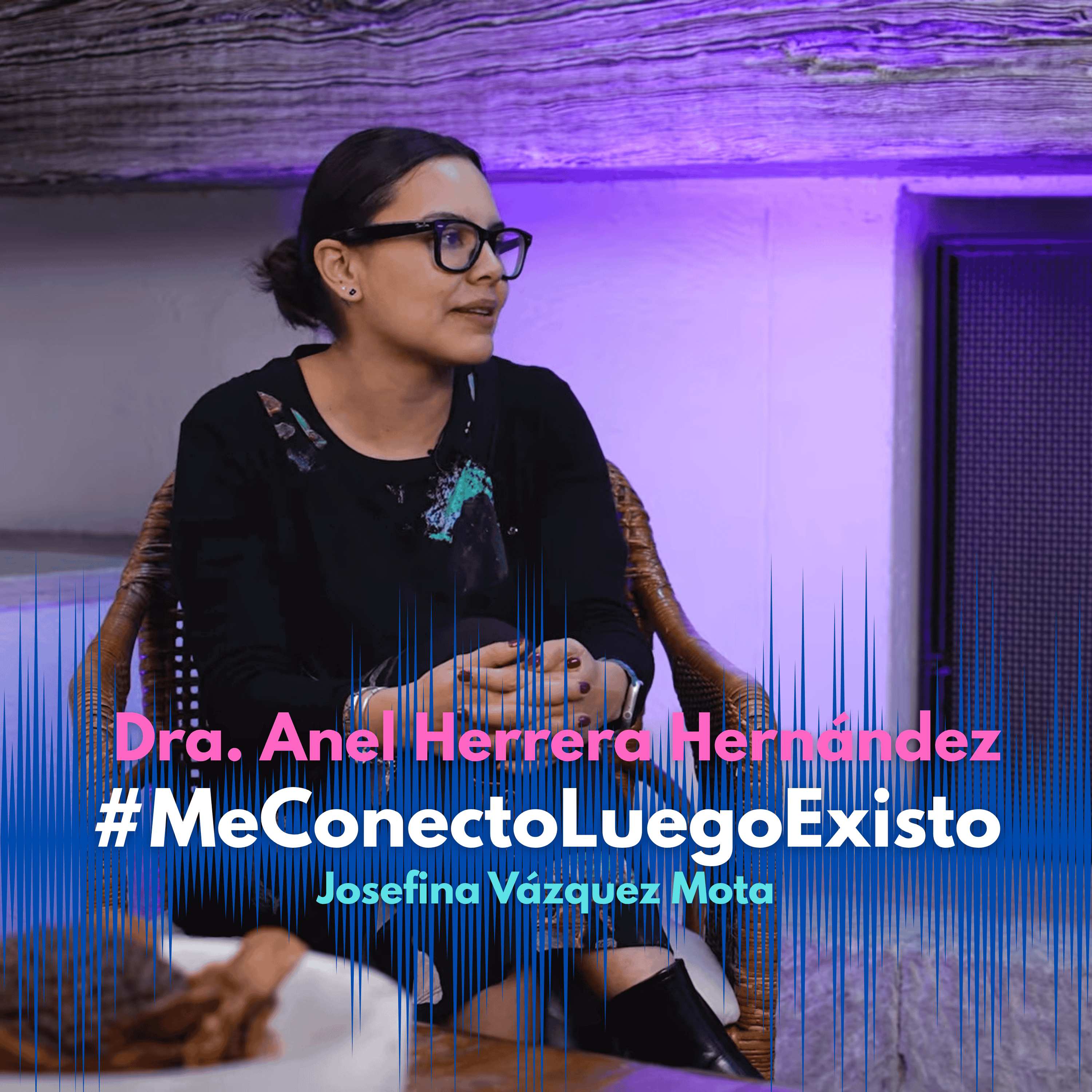 Íconos de lo invisible con la Dra. Anel Herrera Hernández episode artwork
