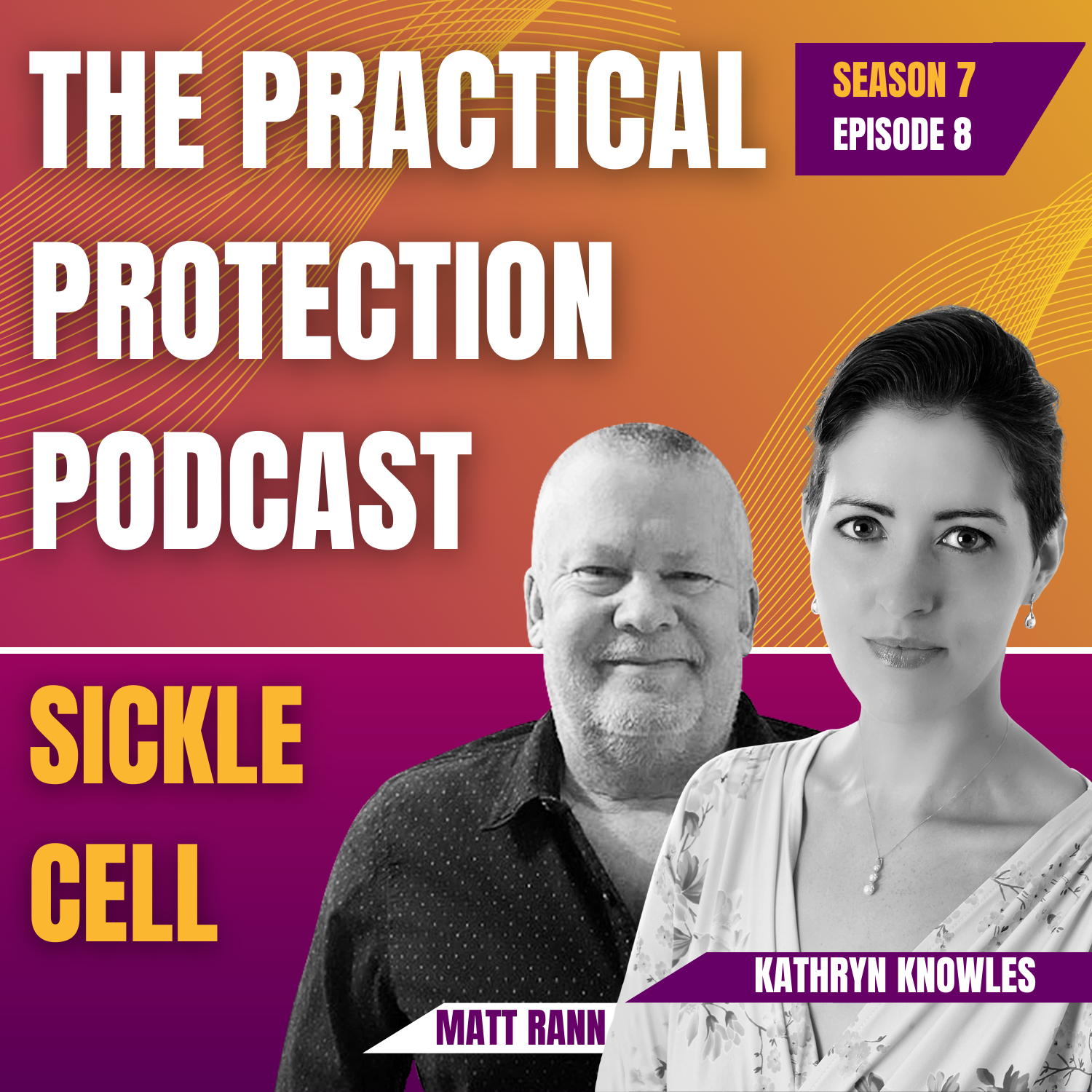 The Practical Protection Podcast