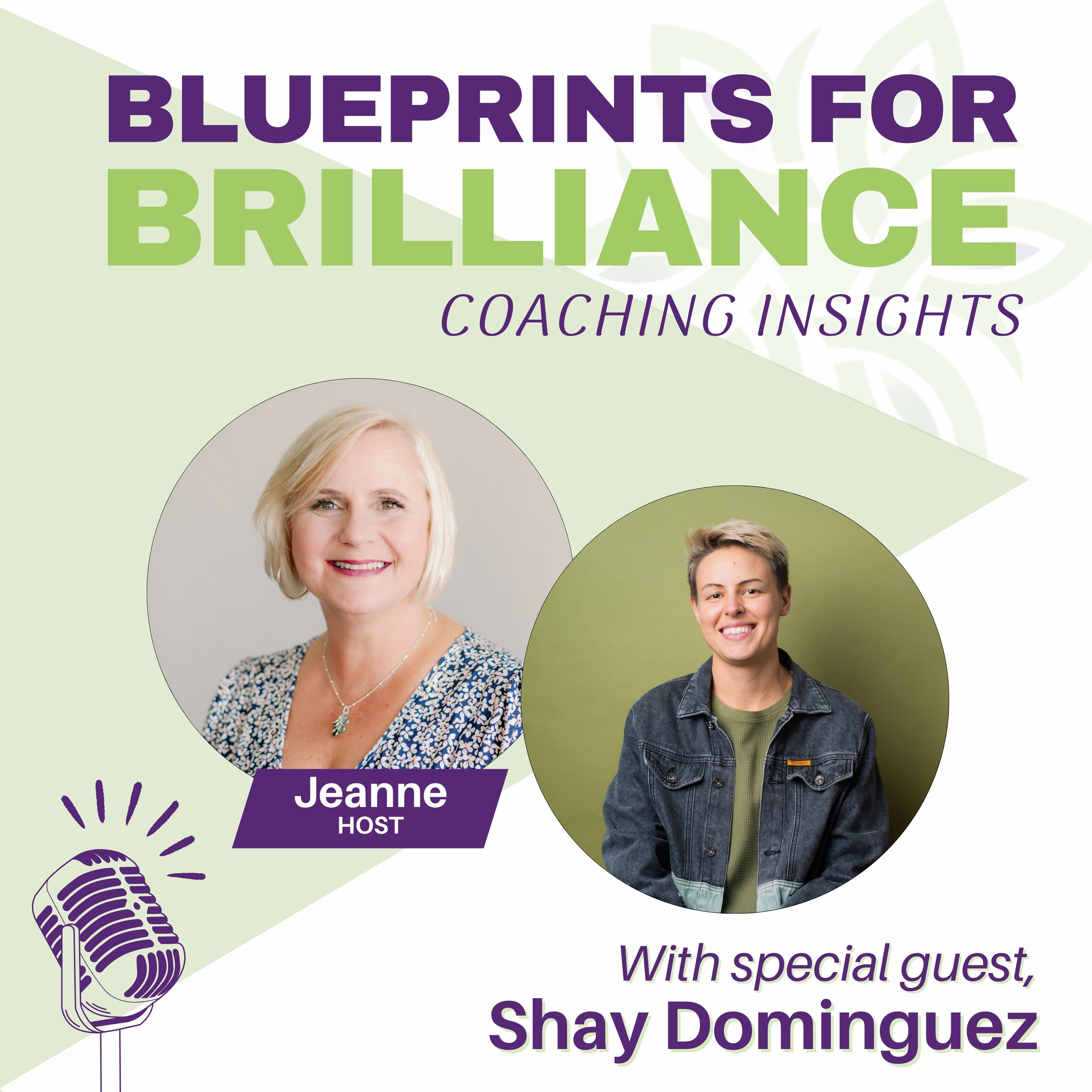 Blueprints for Brilliance: Coaching Insights