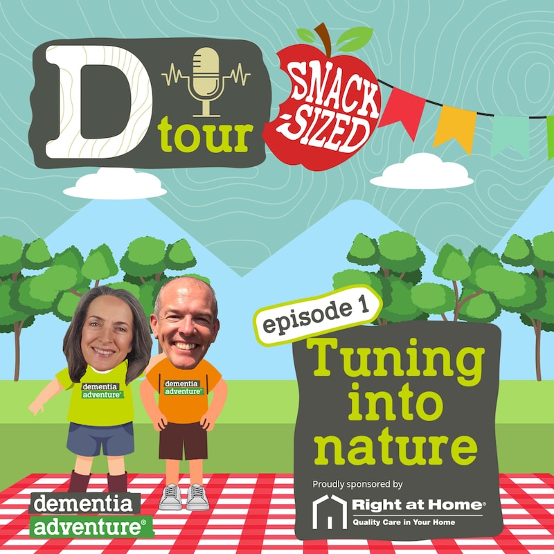 Artwork for podcast D Tour
