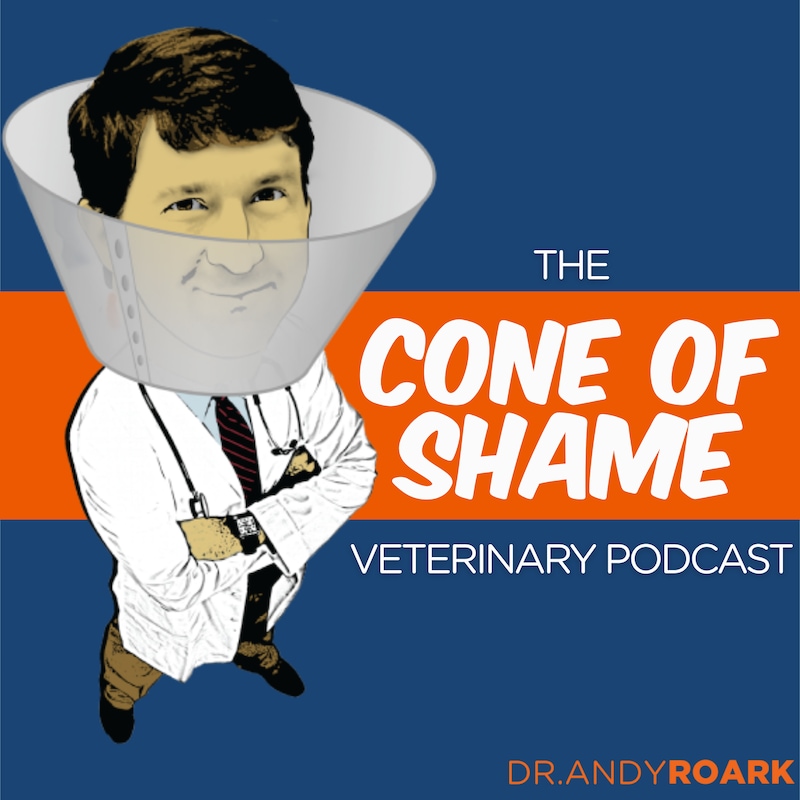 Artwork for podcast The Cone of Shame Veterinary Podcast