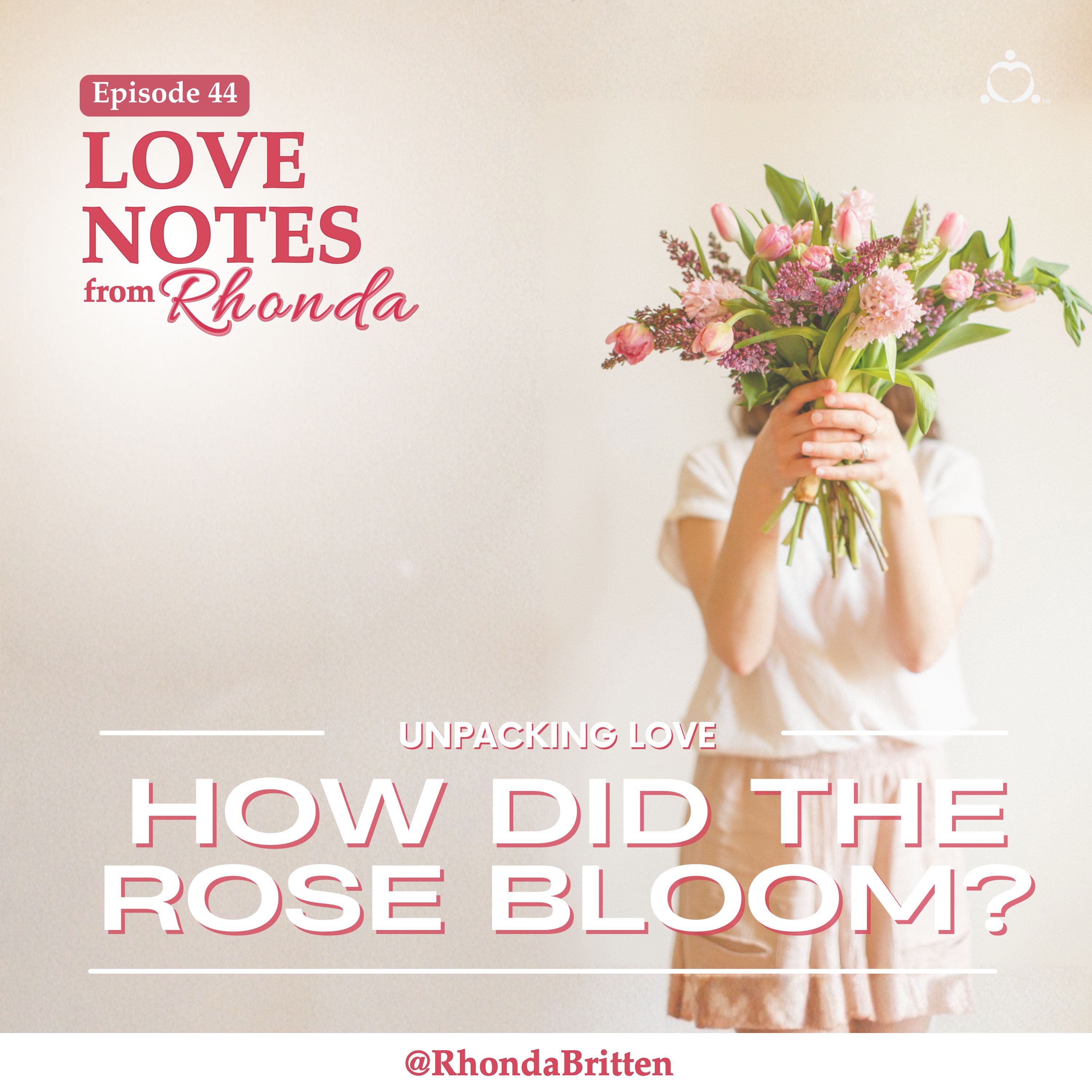 Unpacking Love: How Did the Rose Bloom?