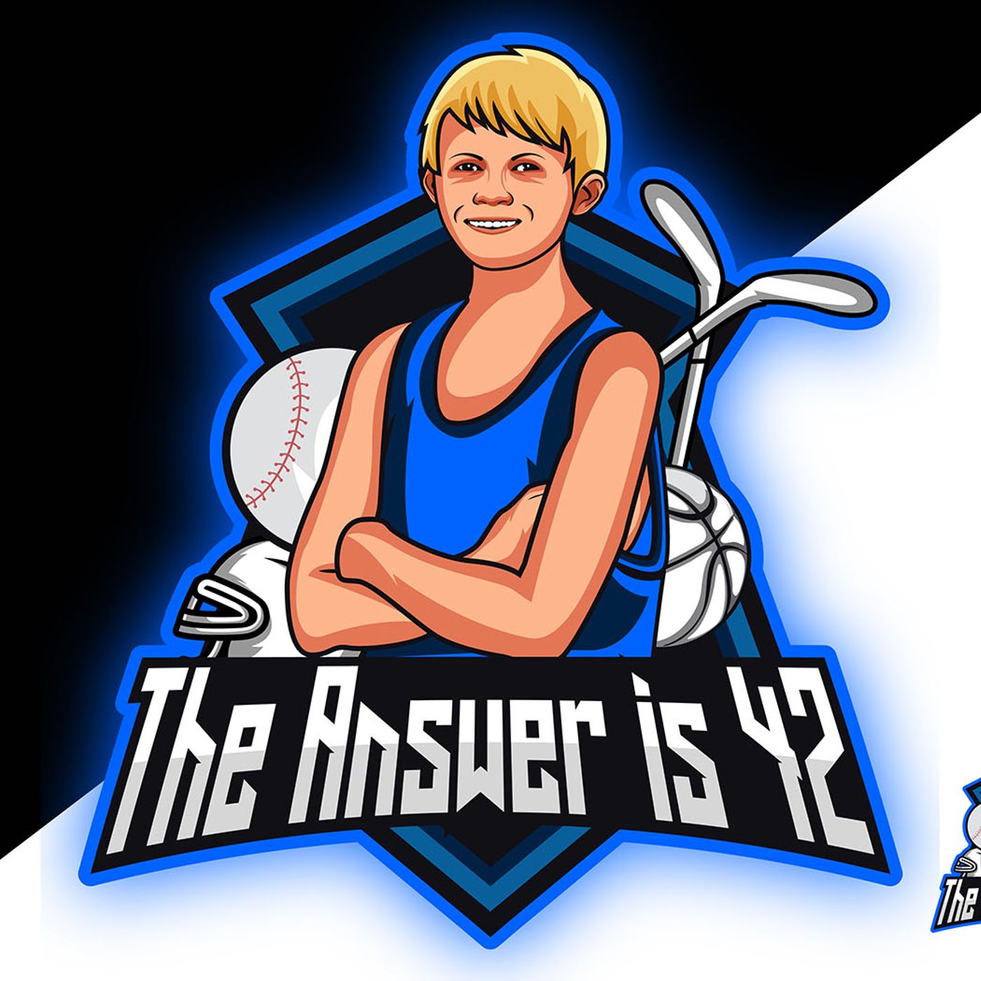 Artwork for podcast The Answer Is 42