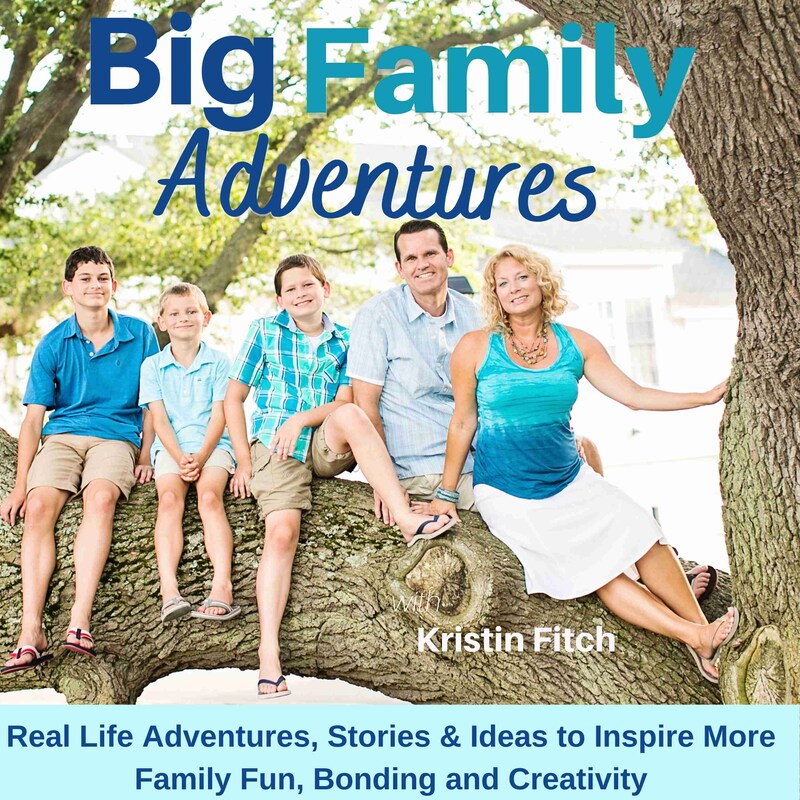 Artwork for podcast Big Family Adventures