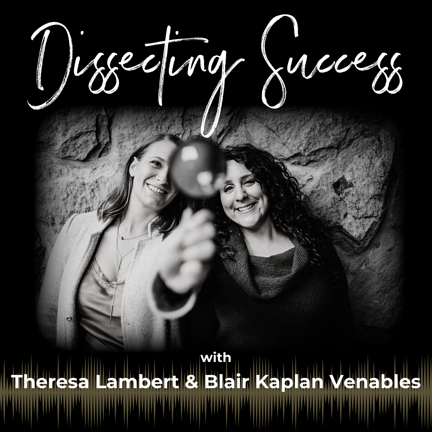 Show artwork for Dissecting Success