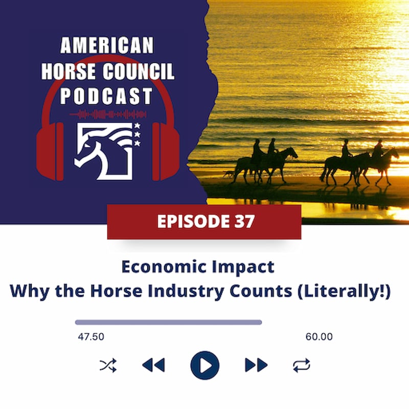 Artwork for podcast Horses in the Morning