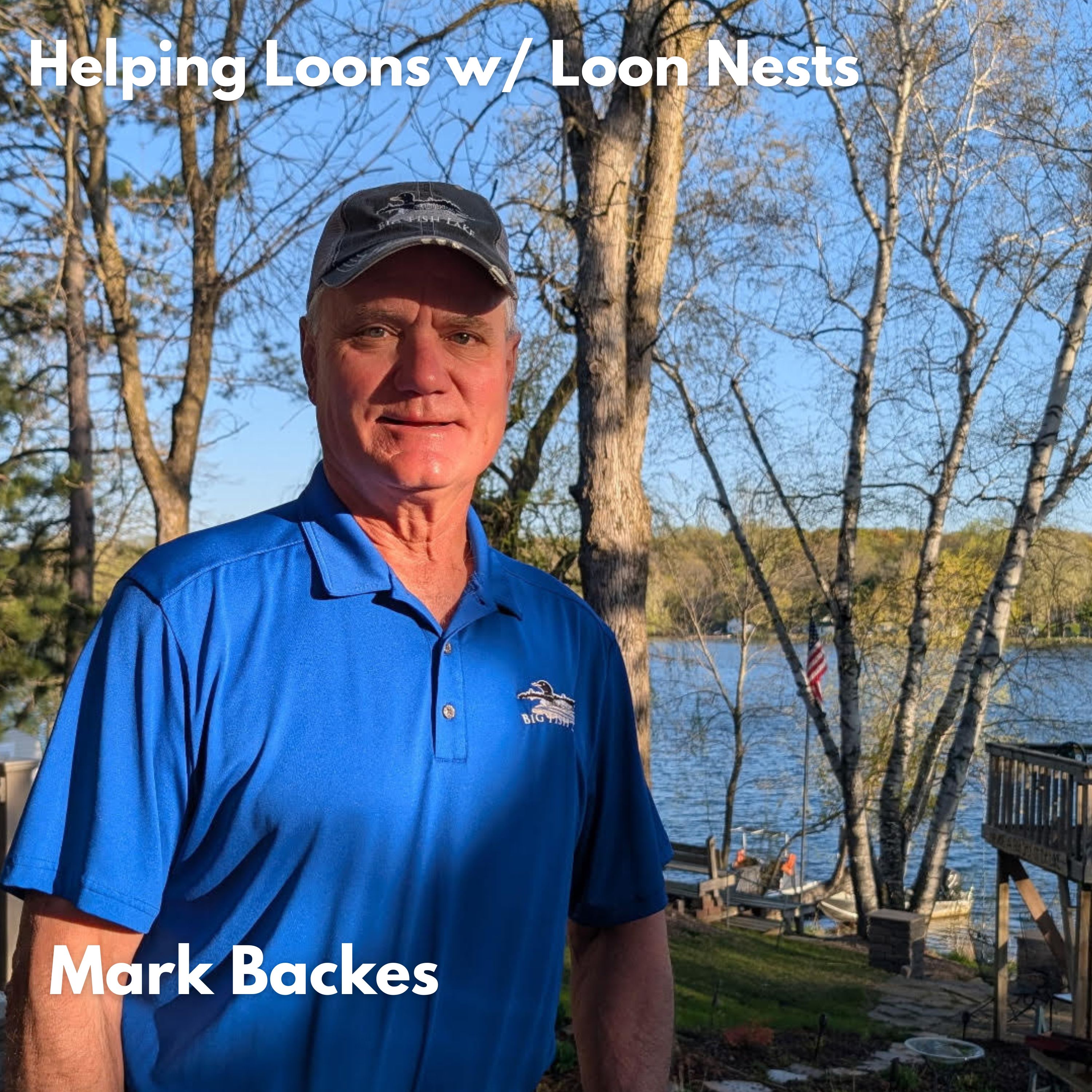 Building Nests to Help Loons episode artwork