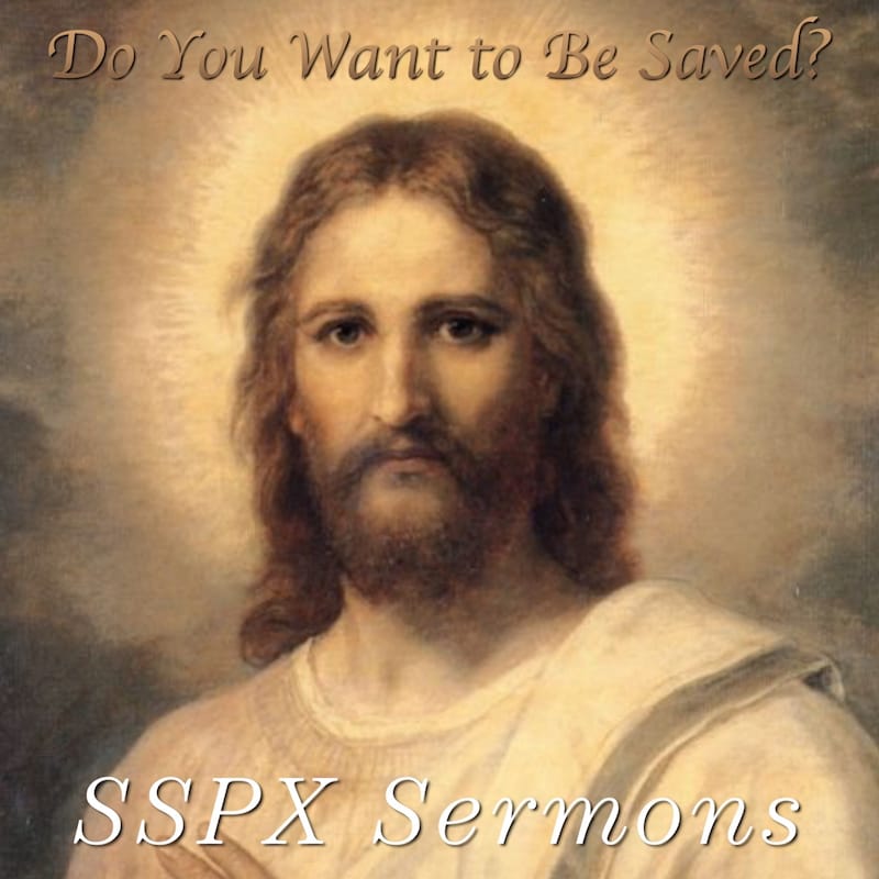 Artwork for podcast SSPX Sermons