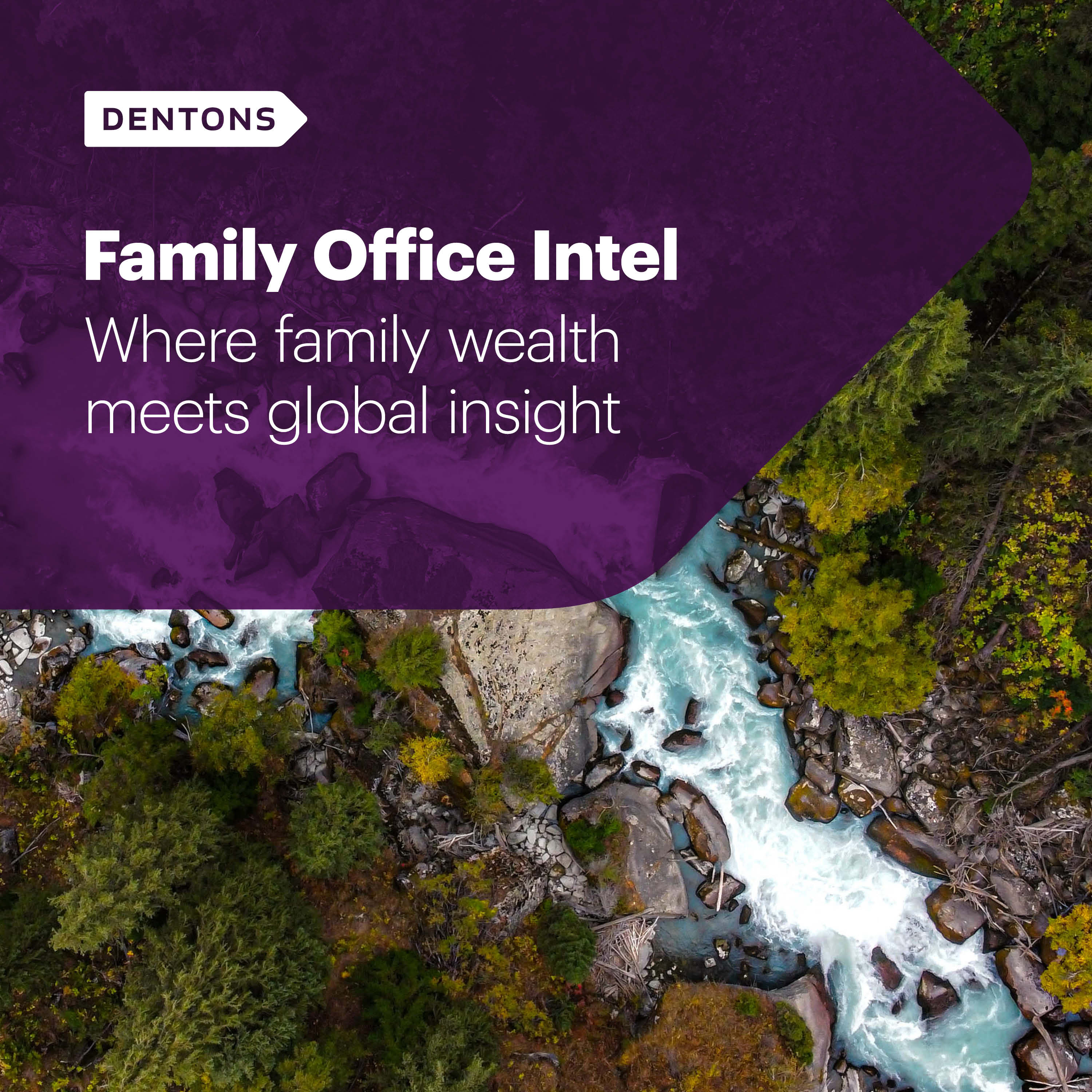 Show artwork for Family Office Intel