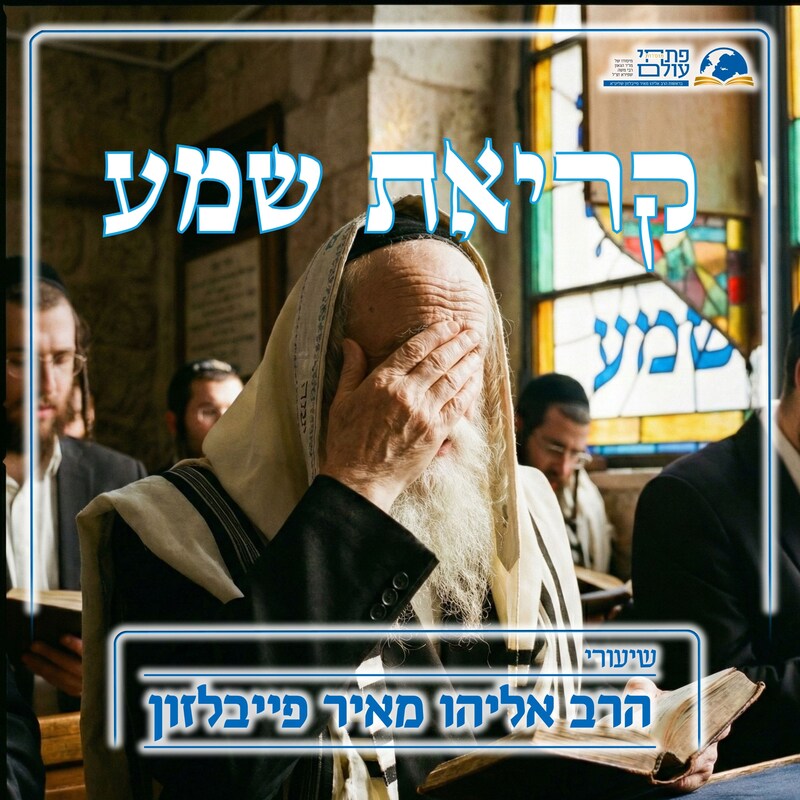 Artwork for podcast שיעורי הרב פייבלזון