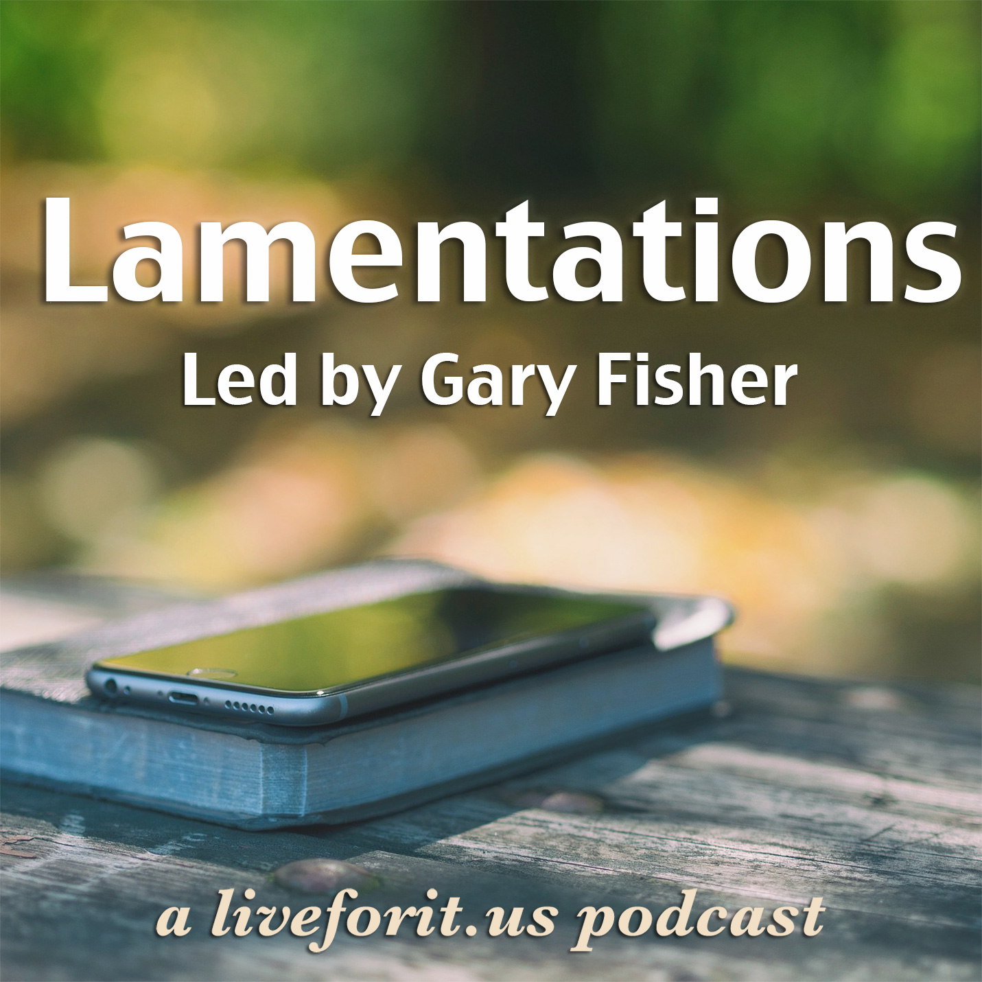 Artwork for Liveforit Lamentations Study