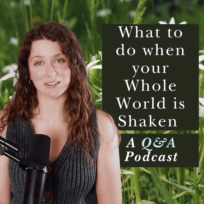 Artwork for podcast Remember Why You Are Here