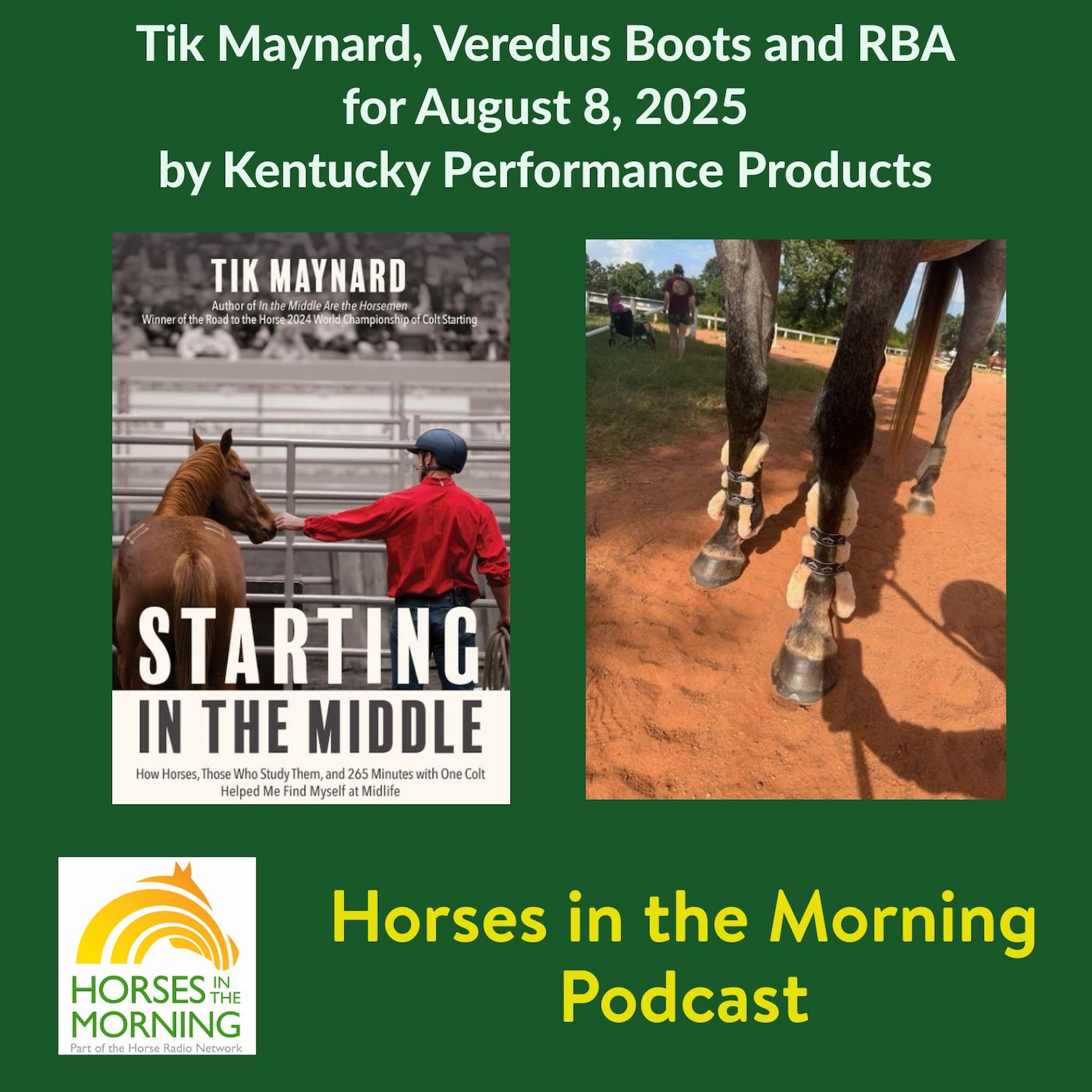 HORSES IN THE MORNING