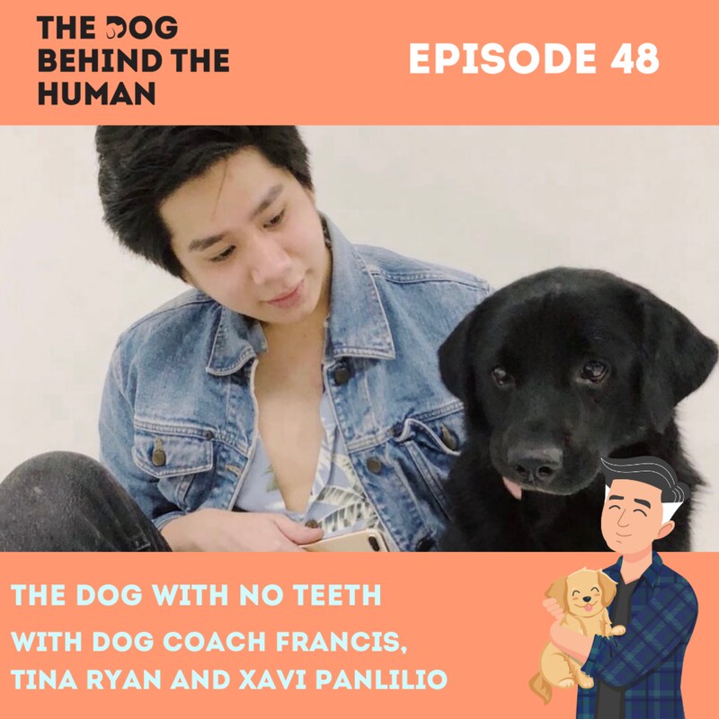 Artwork for podcast The Dog Behind The Human
