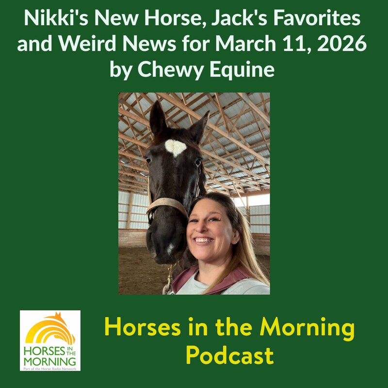 Artwork for podcast Horses in the Morning