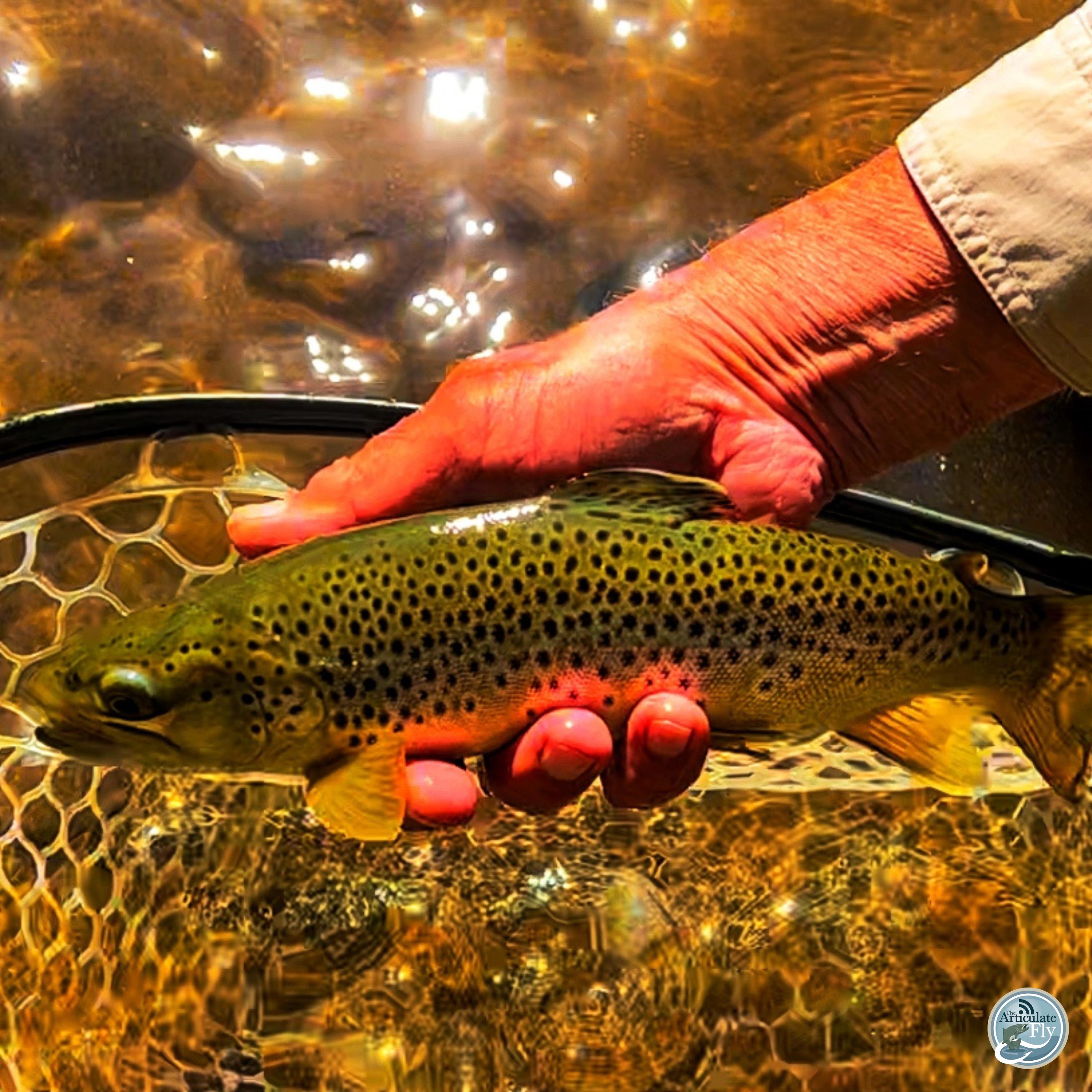 The Art of the Dry: Mac Brown's Winter Fishing Insights