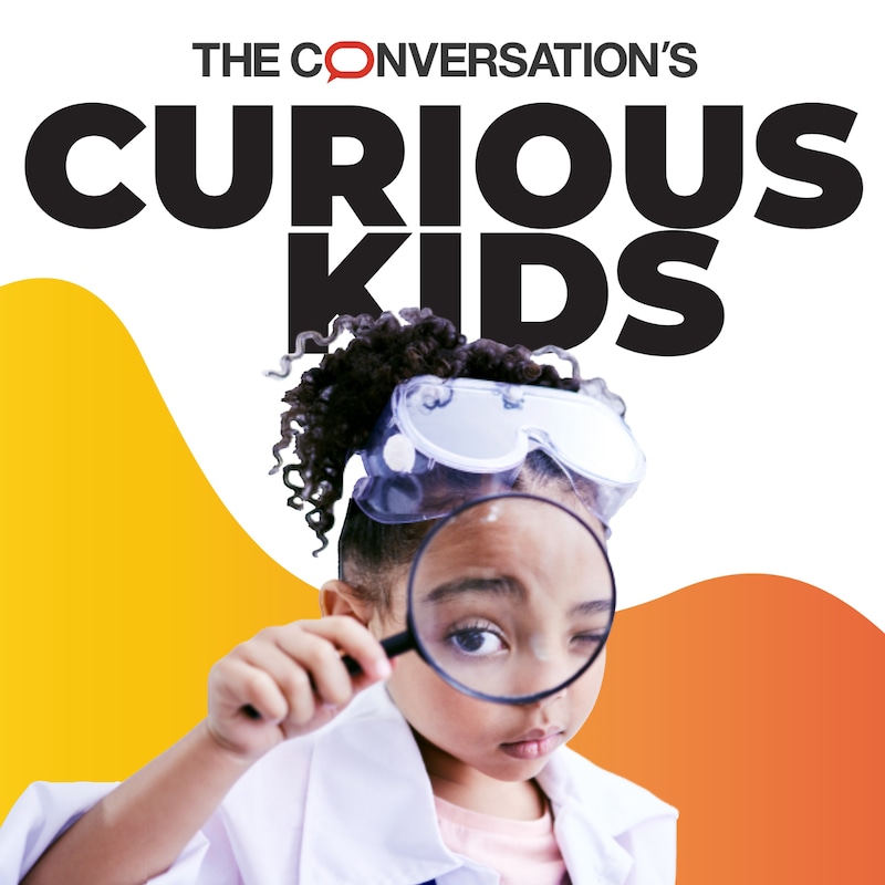 Artwork for podcast The Conversation's Curious Kids