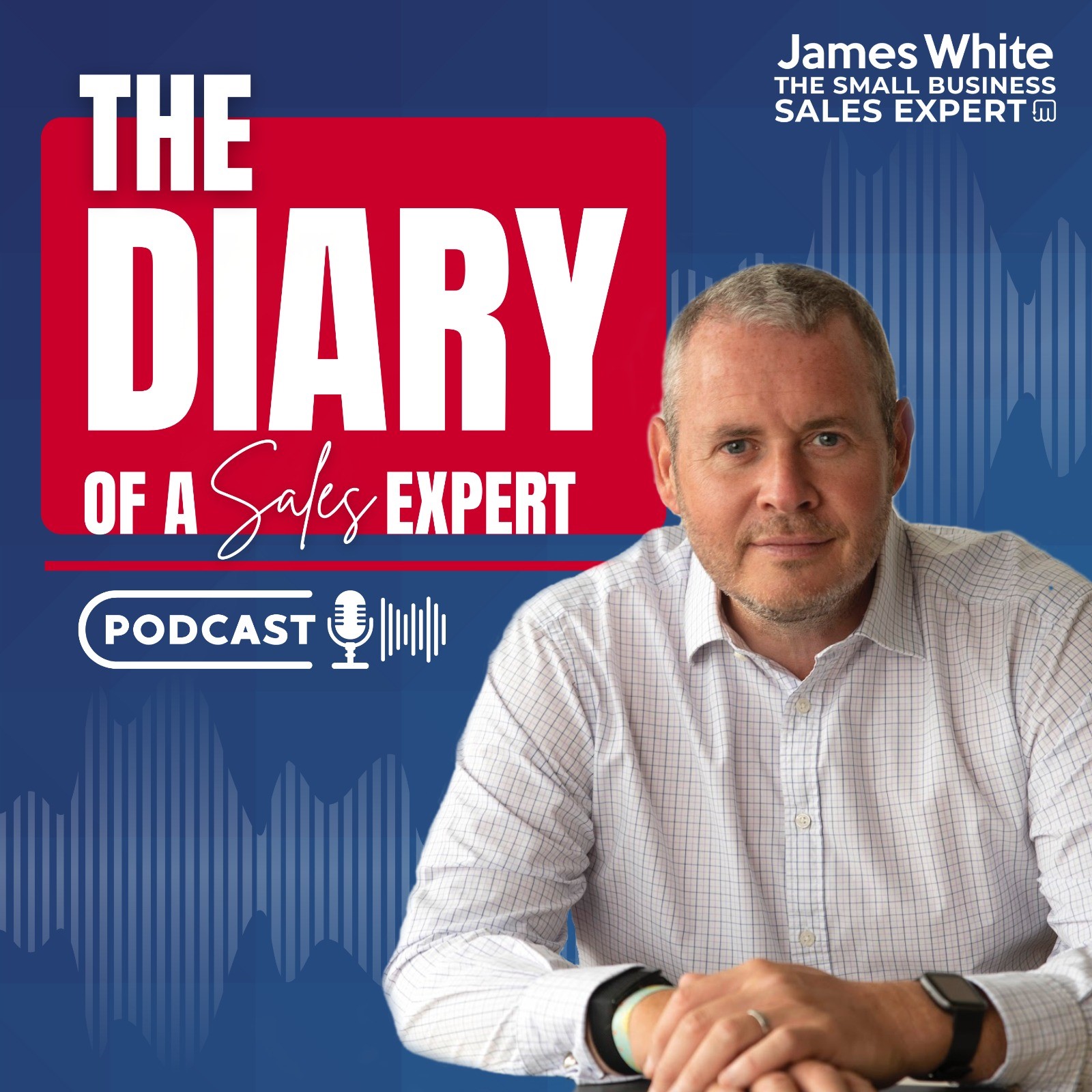 Artwork for Diary of a Sales Expert