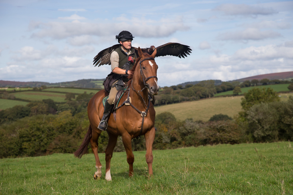 Retired Racehorse Radio