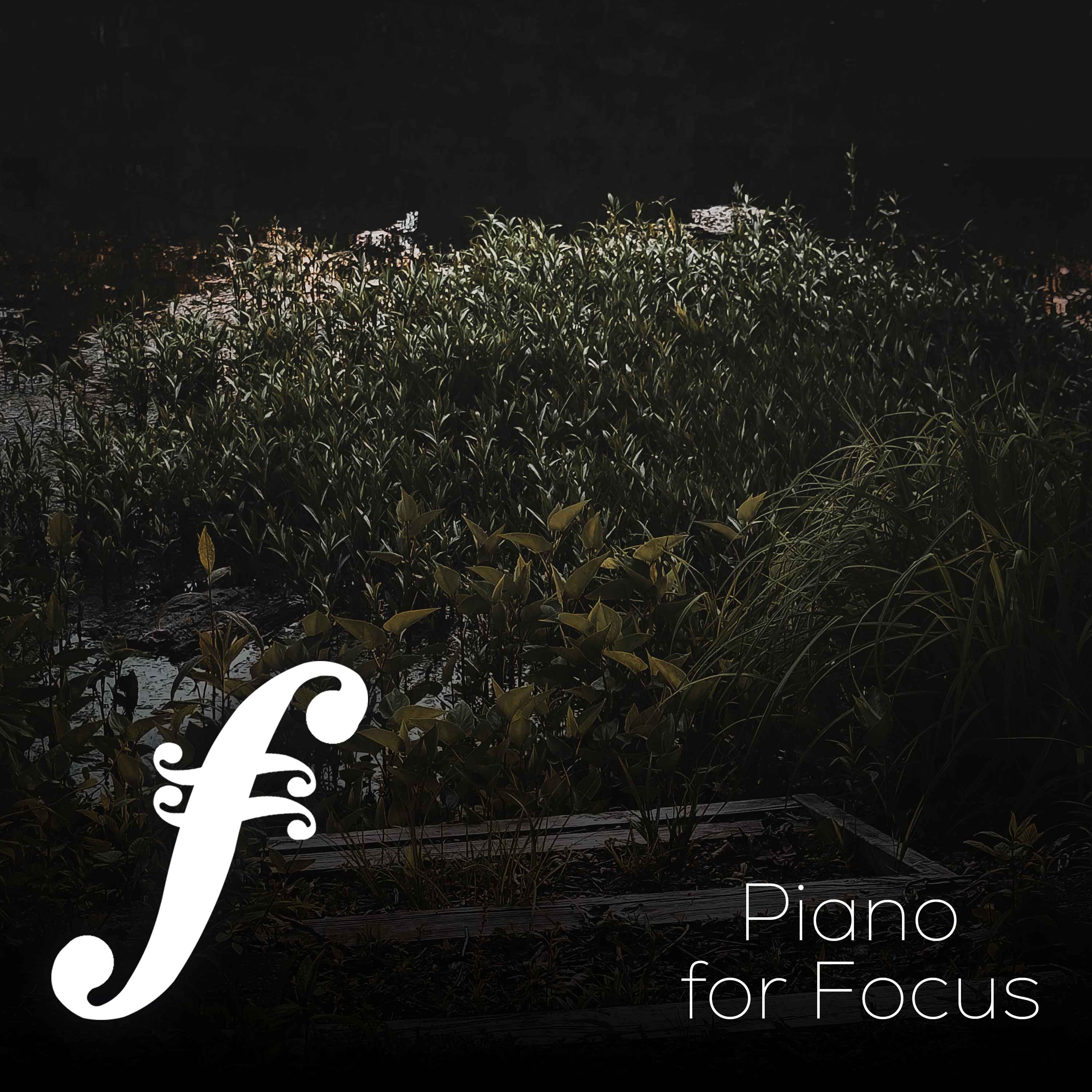 3 Hours of Focus Piano with Summer Crickets - "For Nights on End" episode artwork
