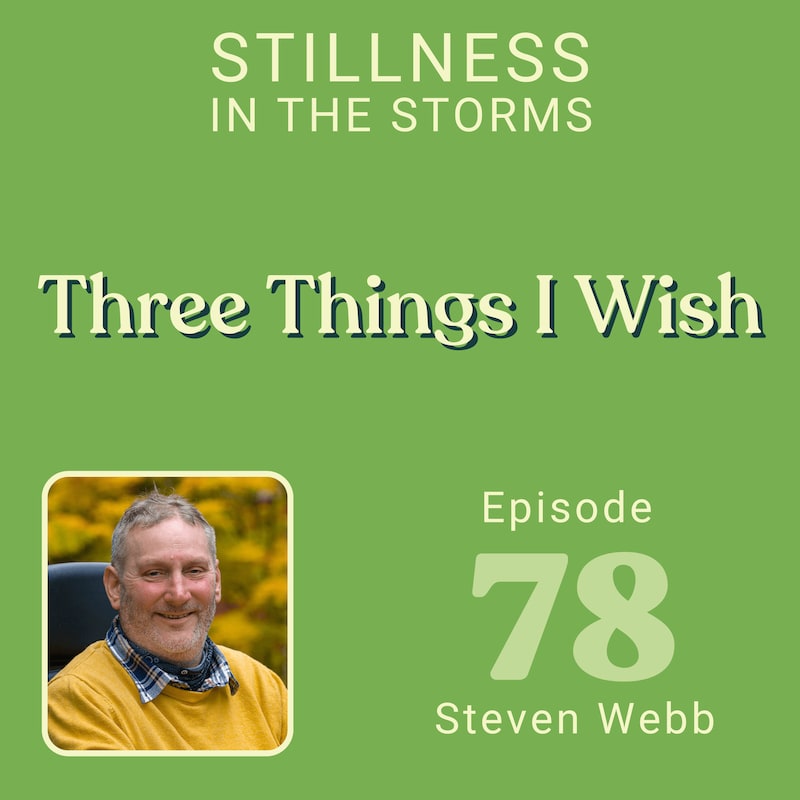 Artwork for podcast Stillness in the Storms