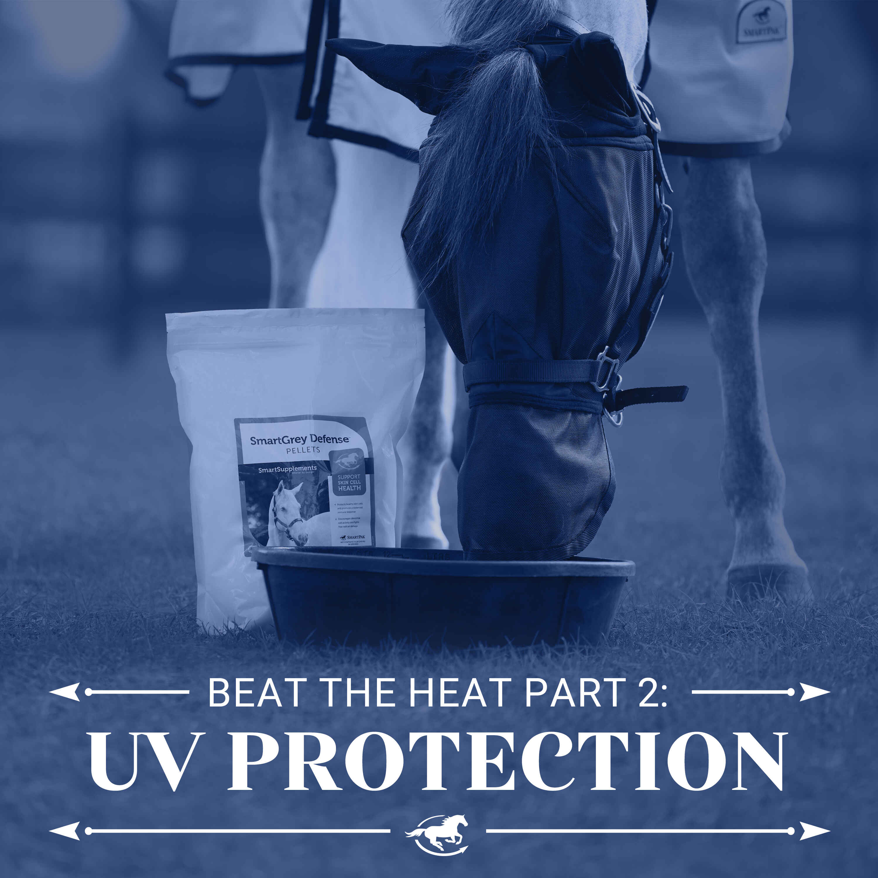 Beat the Heat Part 2 - UV Protection - The Horse HealthCast with SmartPak episode artwork