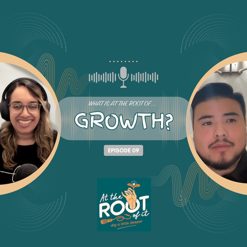 Artwork for podcast At The Root Of It
