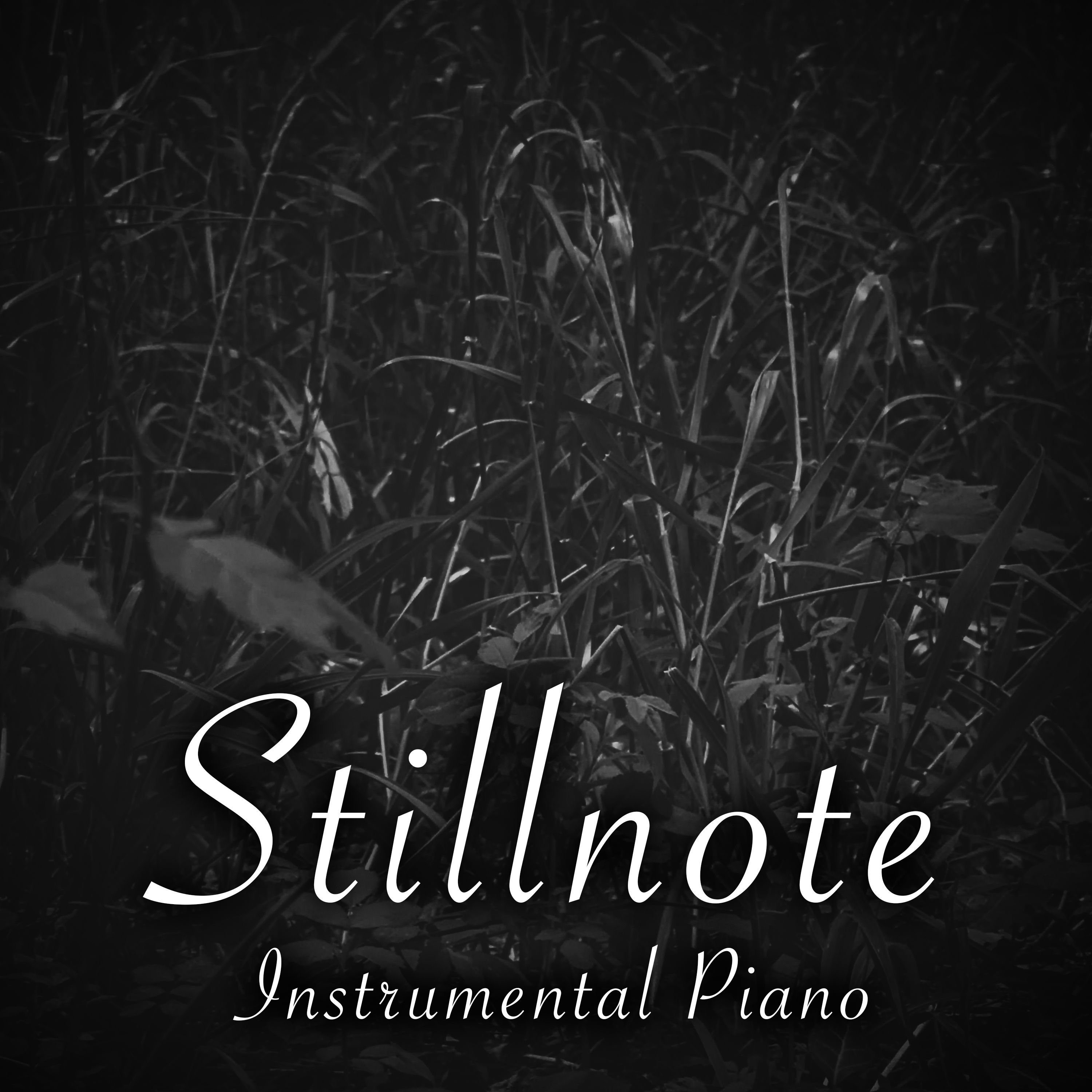 Piano for ADHD with Summer Crickets - 4 Hours - "As Dusk Arrives" episode artwork