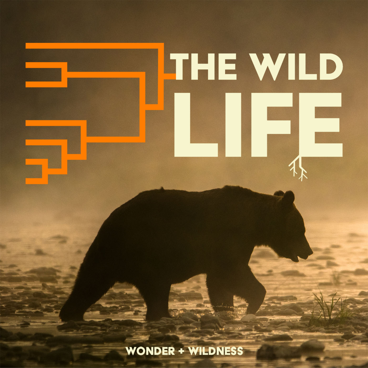 Artwork for The Wild Life