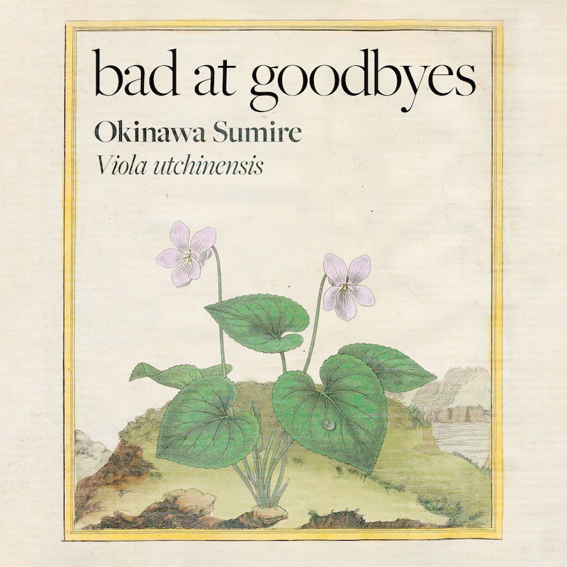 Artwork for podcast Bad at Goodbyes