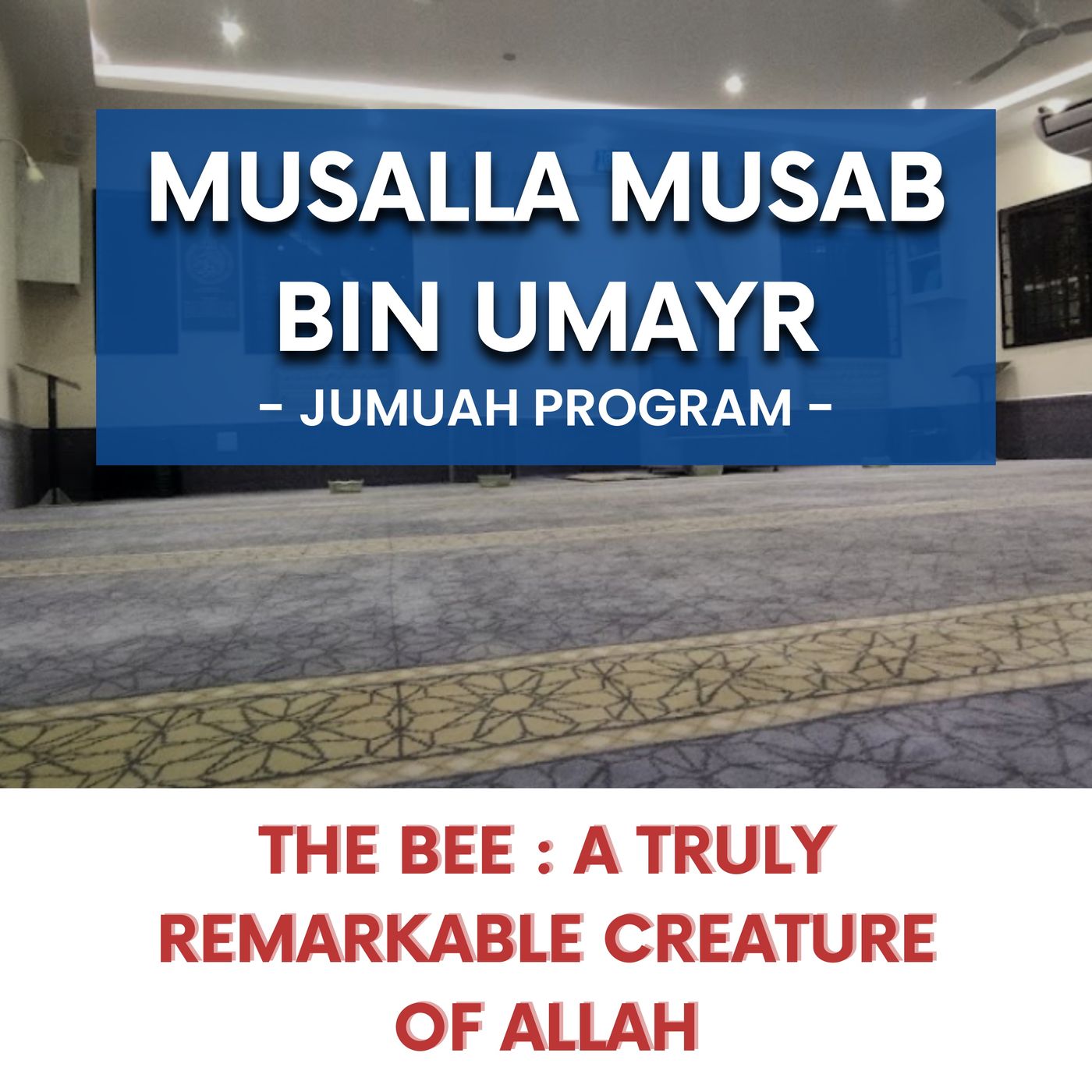 231027_The bee - A truly remarkable creature of Allah
