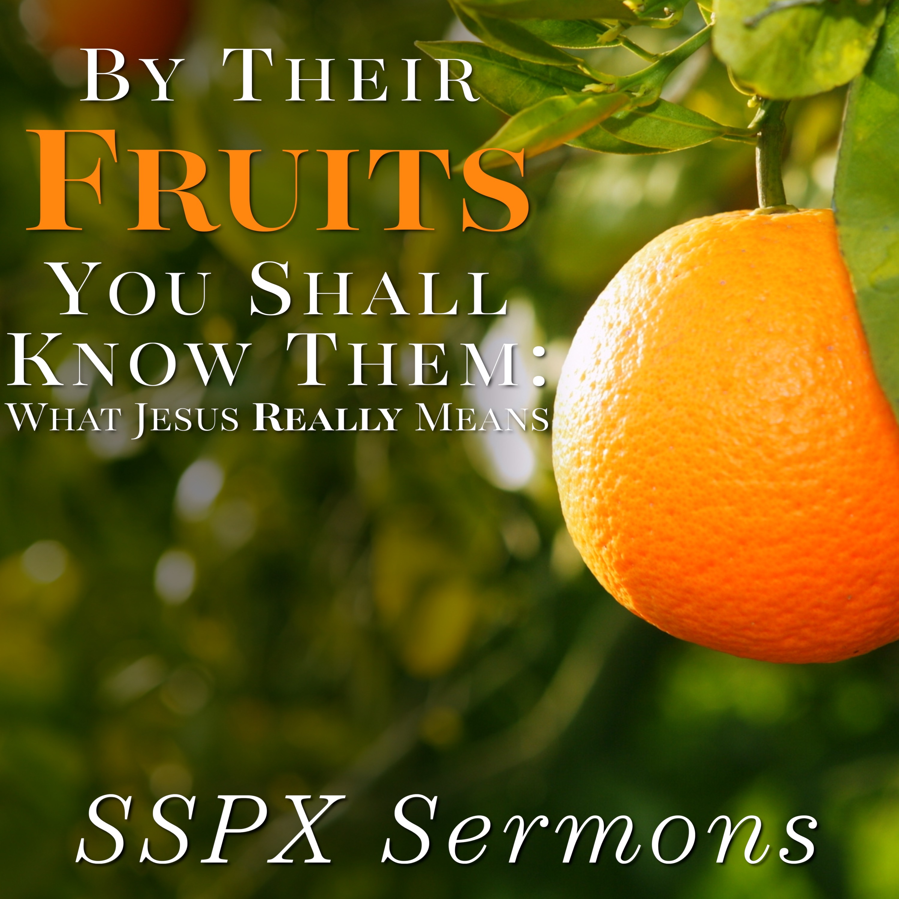 By Their Fruits You Shall Know Them: What Jesus Really Means – SSPX Sermons episode artwork