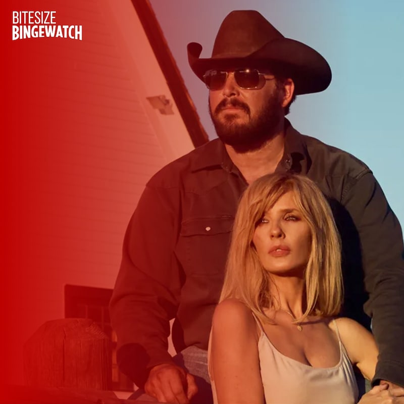 Artwork for podcast Bitesize Bingewatch