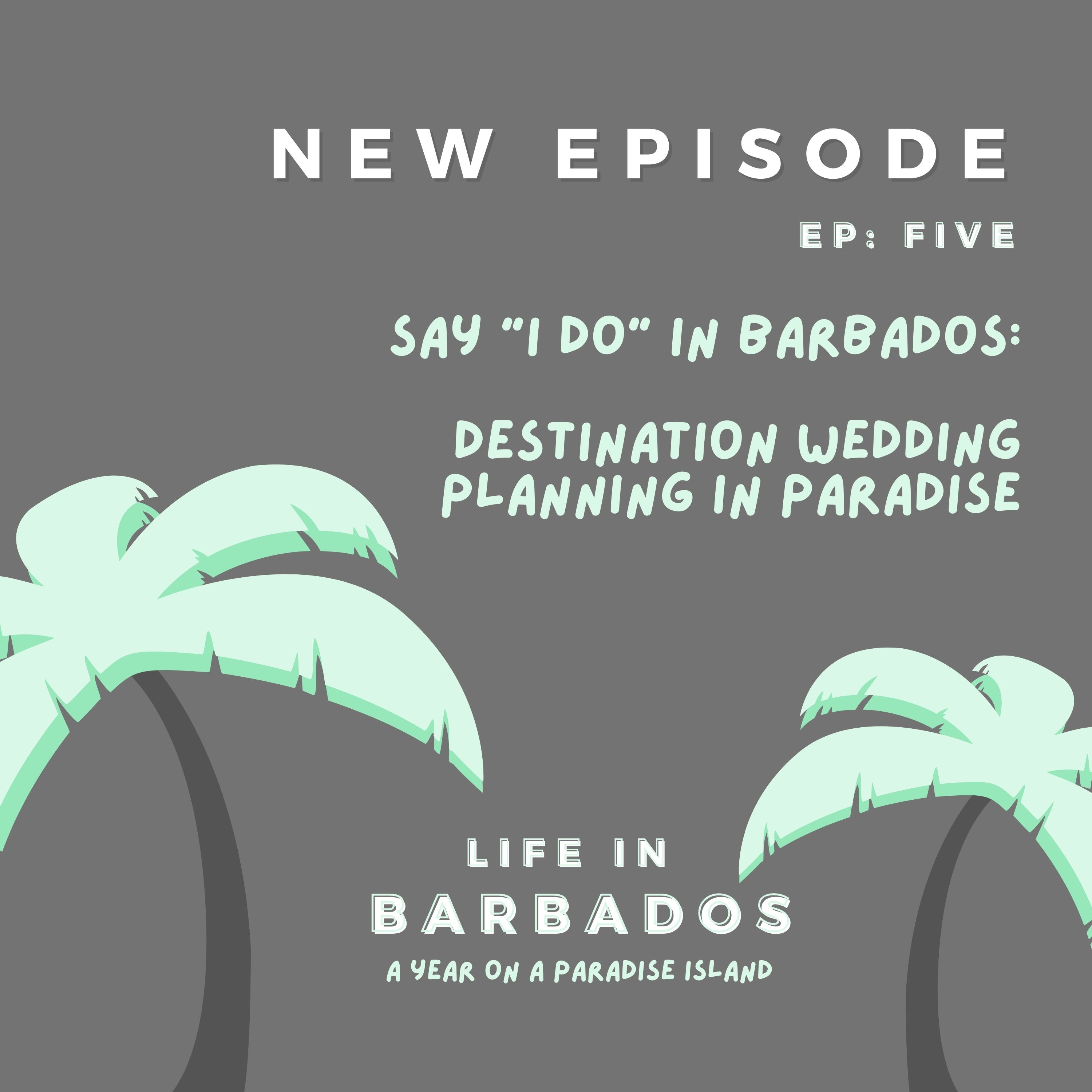 Life in Barbados: A Year On A Paradise Island (Otherworld Travel)