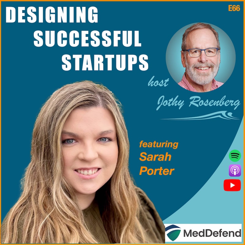 Artwork for podcast Designing Successful Startups