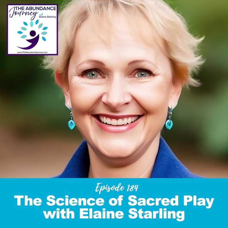 Artwork for podcast The Abundance Journey: Accelerating Revenue With An Abundance Mindset