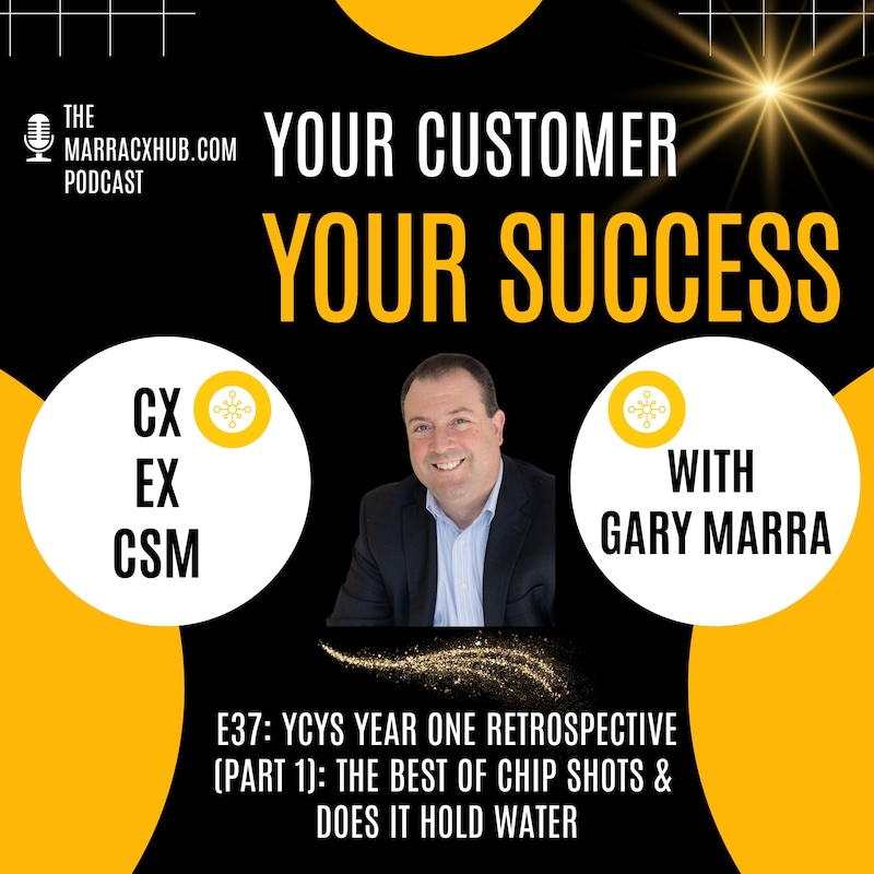 Artwork for podcast Your Customer, Your Success