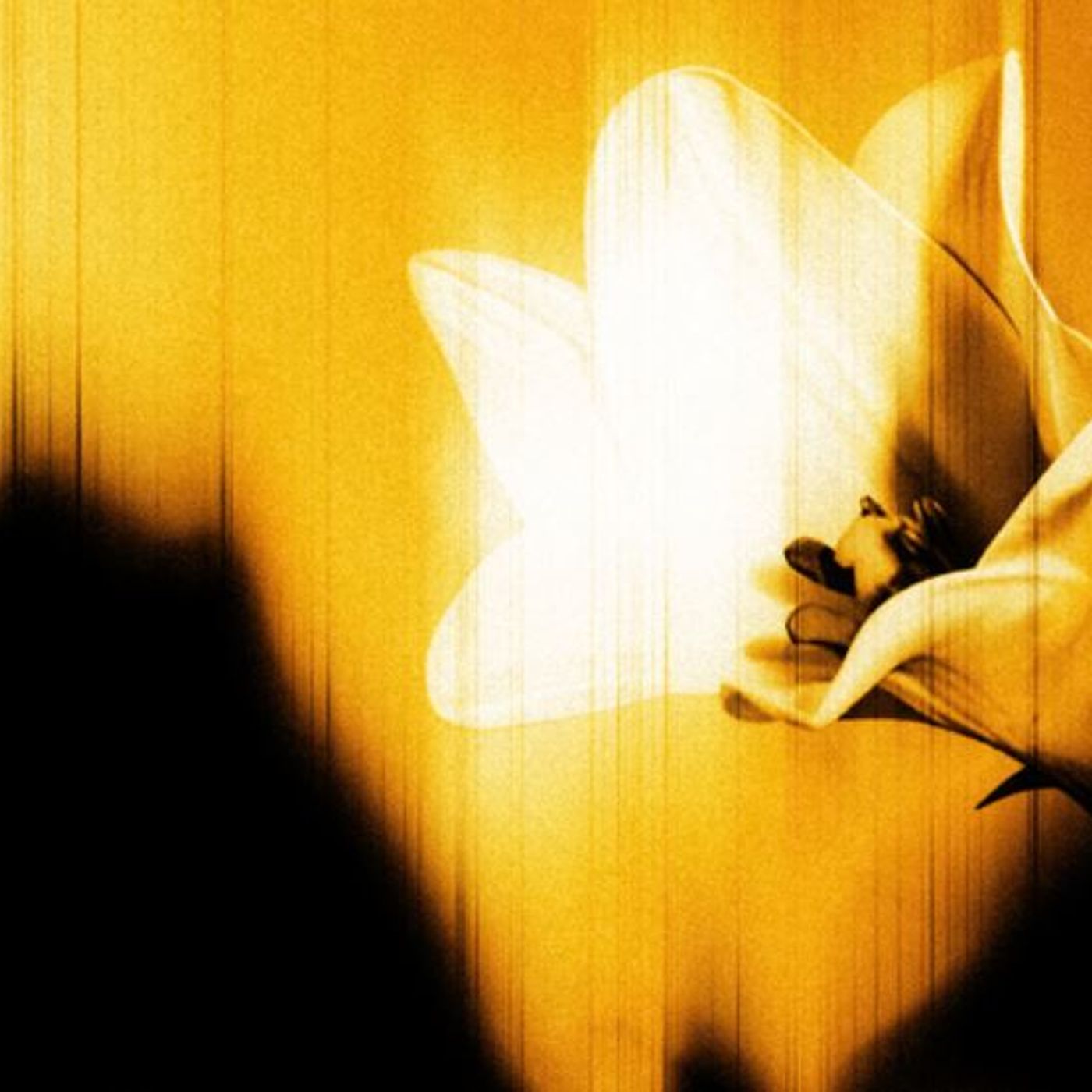 Easter Lily - U2 episode artwork