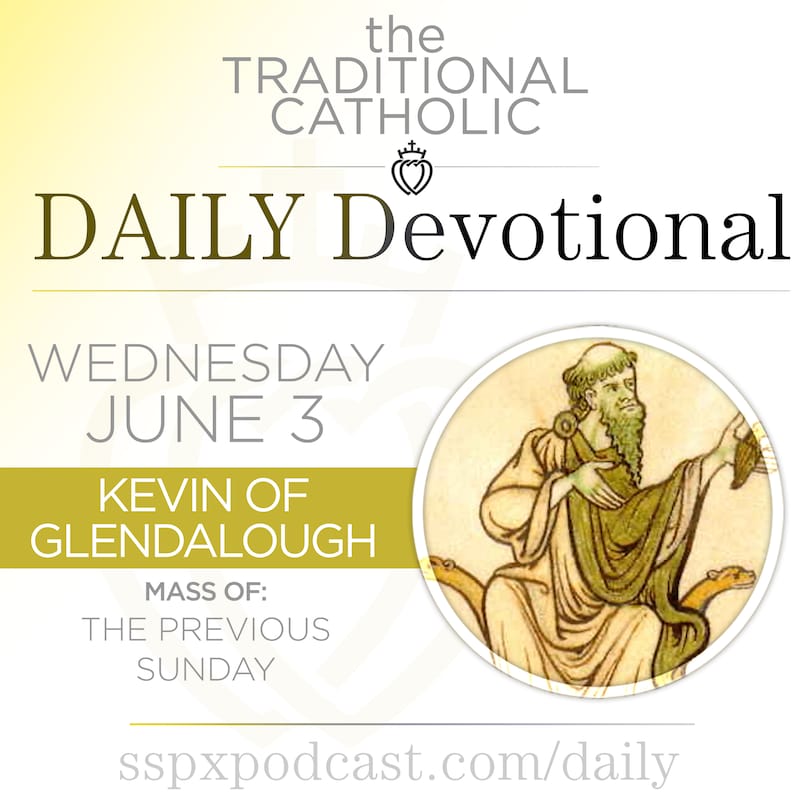 Artwork for podcast Traditional Catholic Daily Devotional