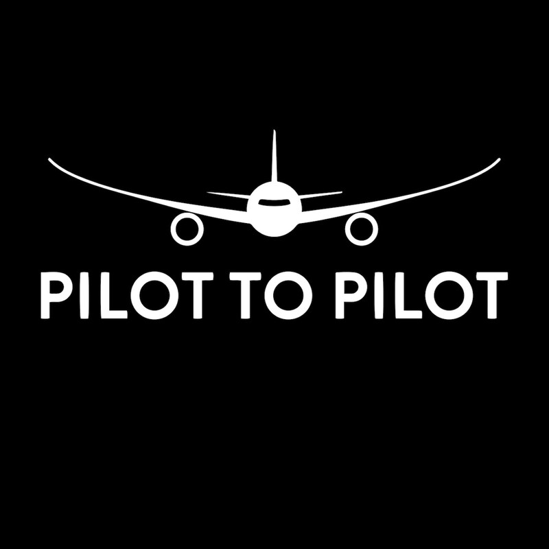 Artwork for podcast Pilot to Pilot