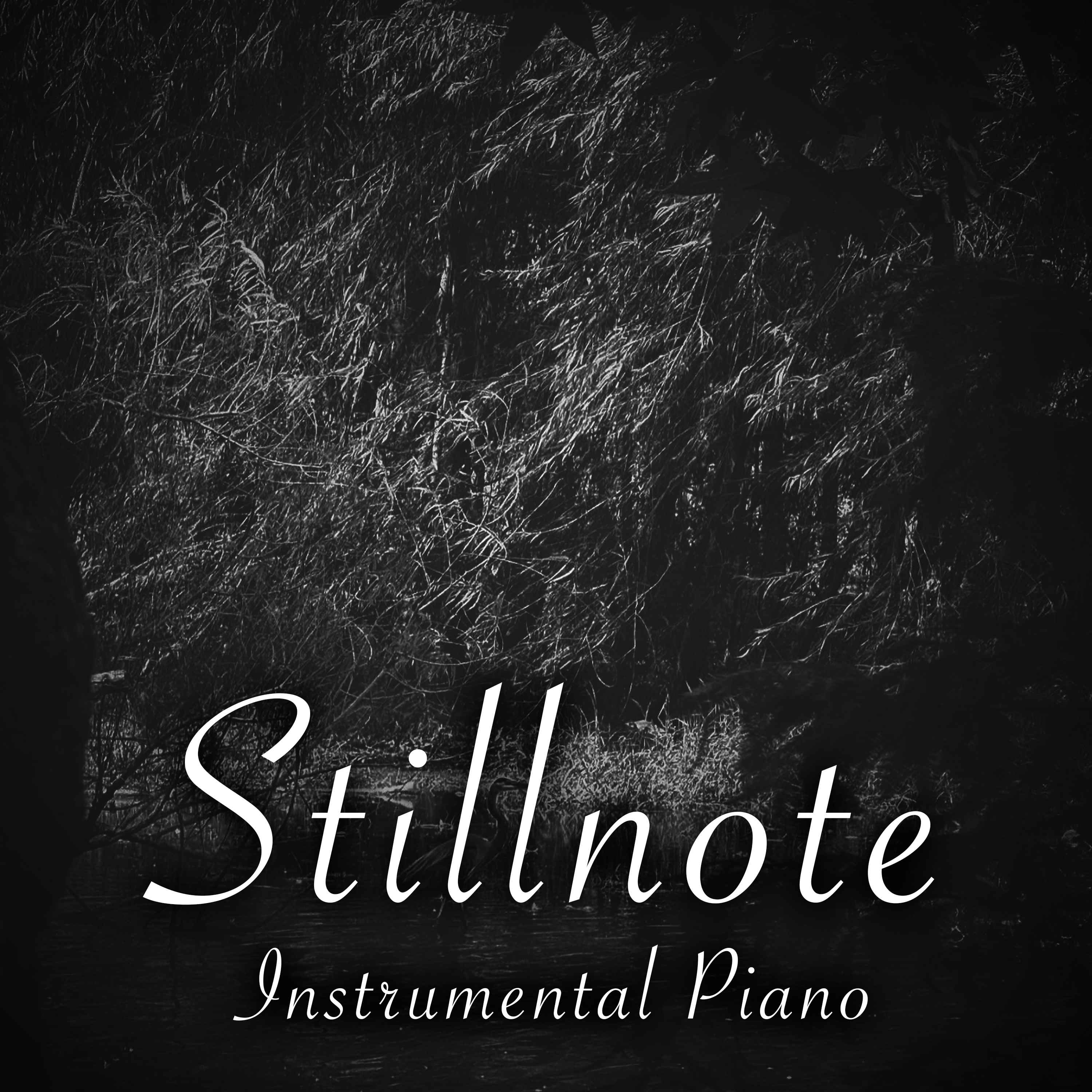 4 Hours of Instrumental Piano for ADHD with Summer Crickets - "Midnight Bloom" episode artwork