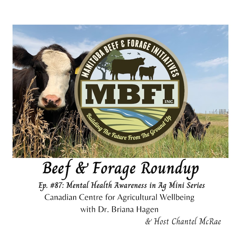 Artwork for podcast Beef and Forage Roundup