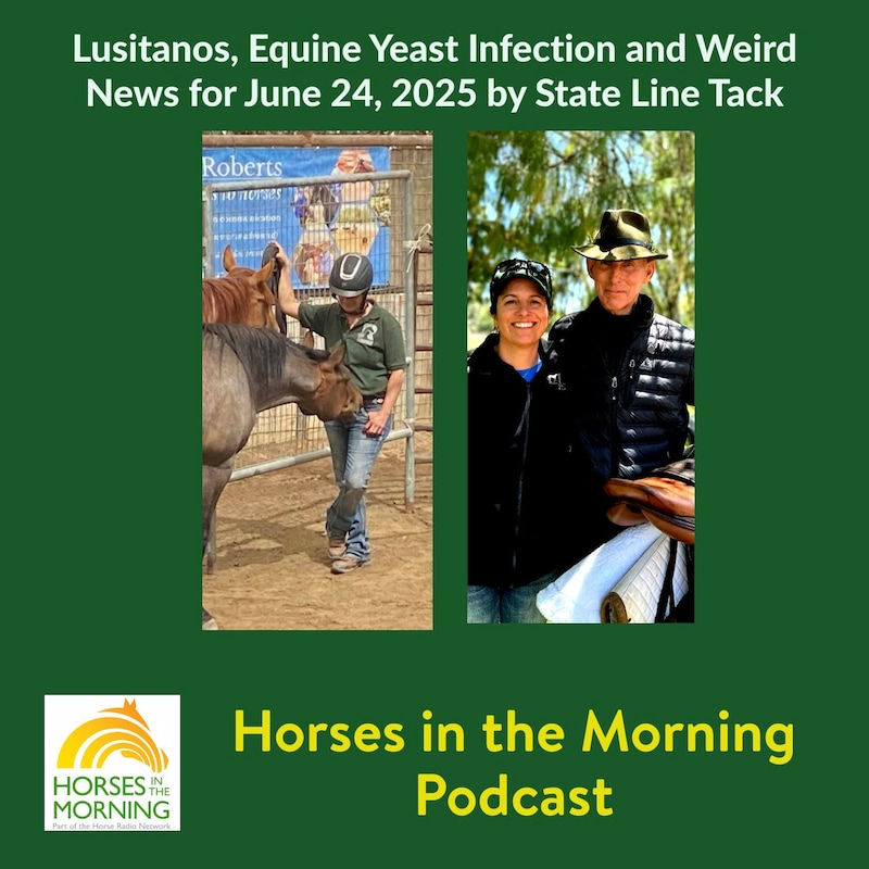 Artwork for podcast HORSES IN THE MORNING
