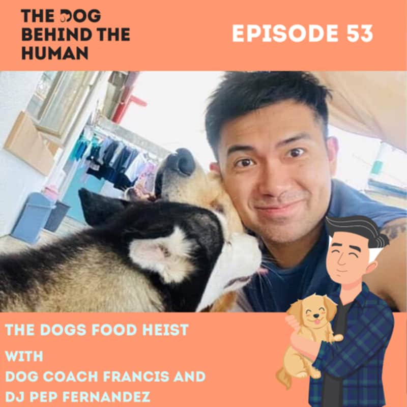 Artwork for podcast The Dog Behind The Human
