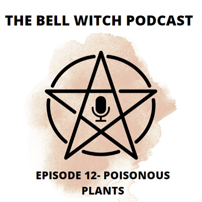 Artwork for podcast The Bell Witch Podcast