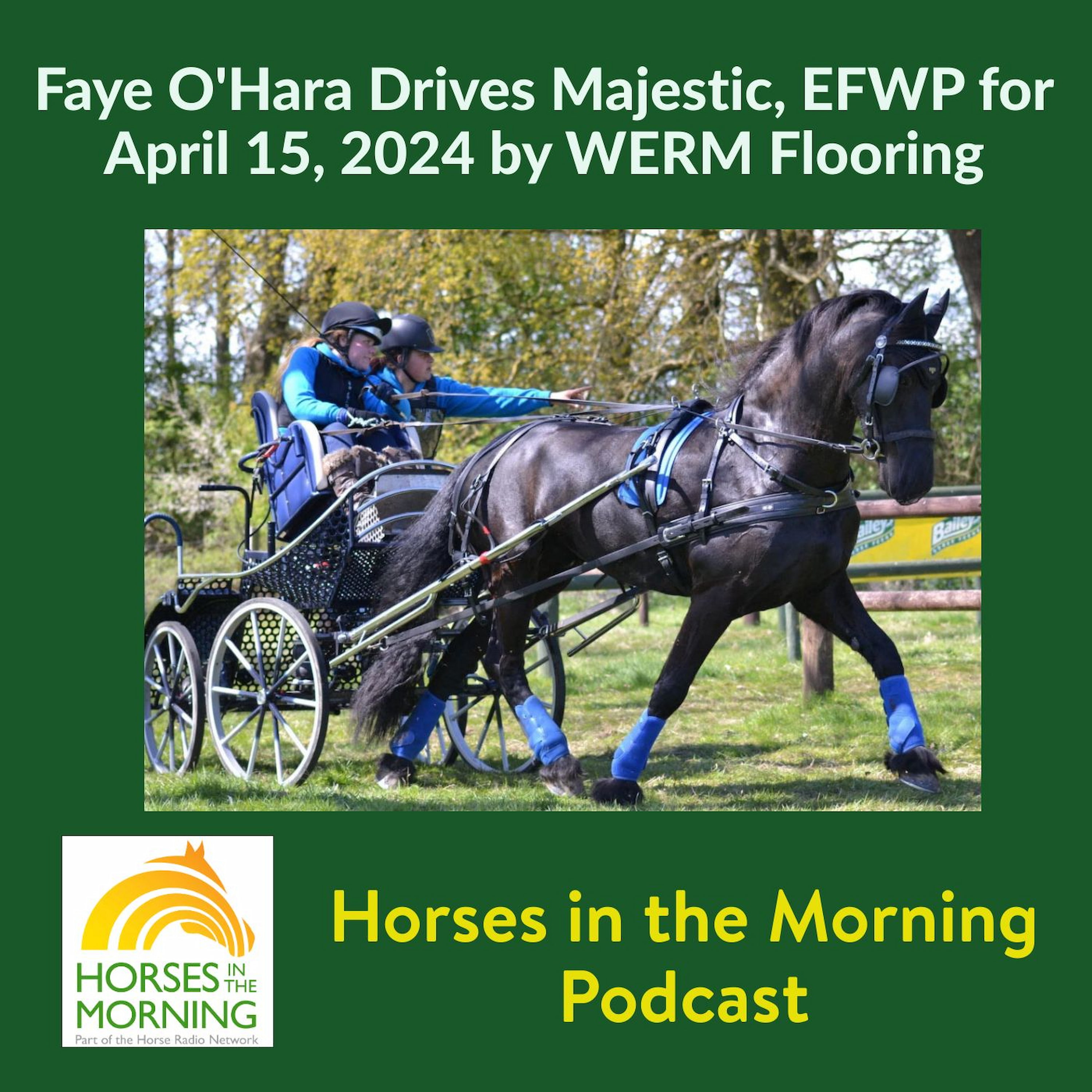 Faye O'Hara Drives Majestic, EFWP for April 15, 2024 by WERM Flooring