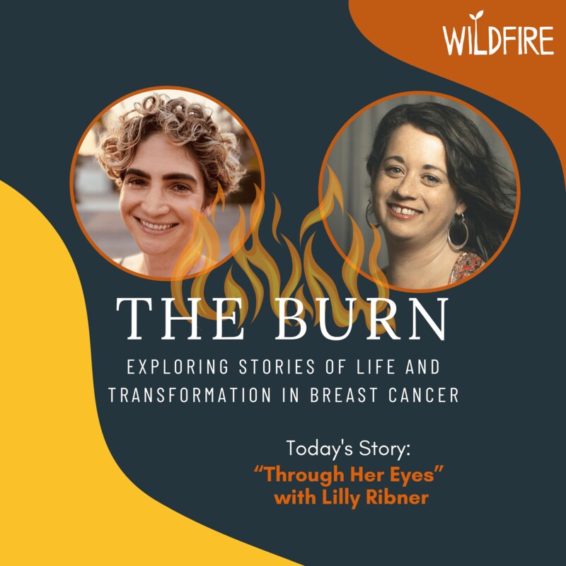 Artwork for podcast The Burn