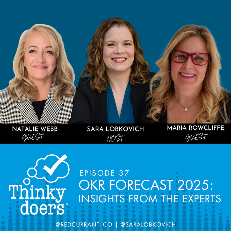 Artwork for podcast Thinkydoers®