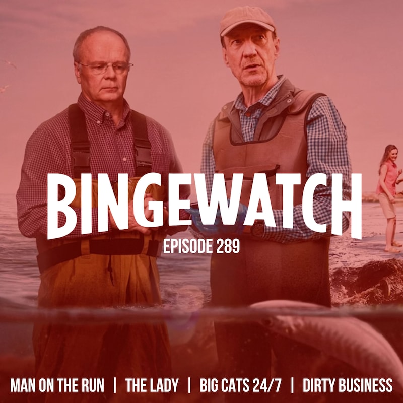 Artwork for podcast Bingewatch