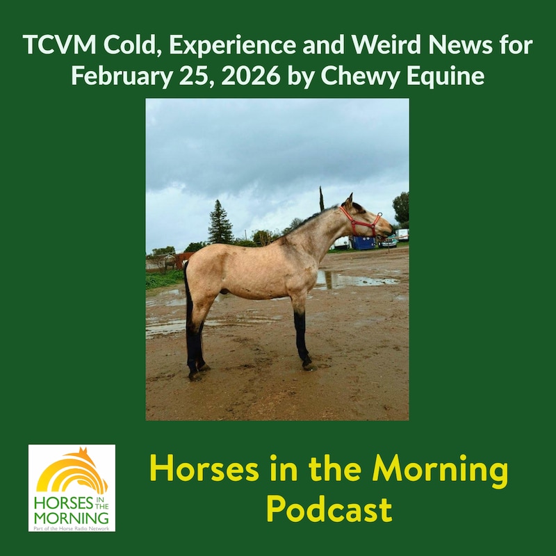Artwork for podcast Horses in the Morning